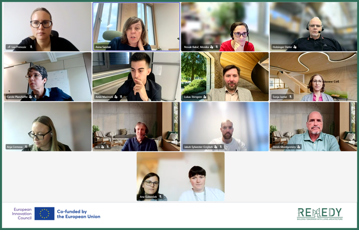 14 people meet on Teams for the REMEDY 3rd Project meeting.