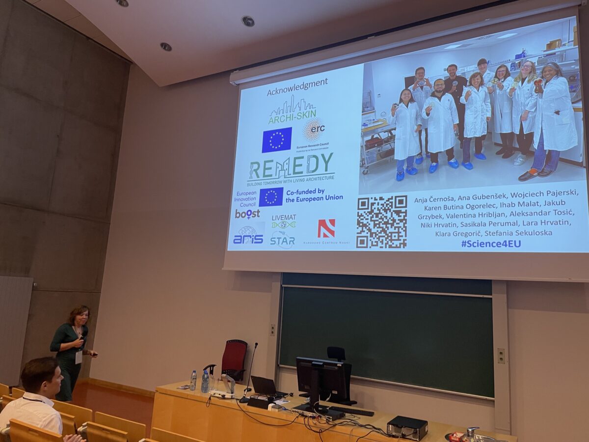 Picture from the presentation